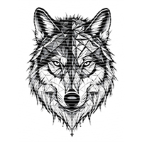 Animal Integration-DW 937